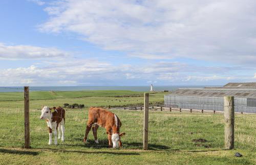 Corsewall Castle Farm Lodges - Foto 48