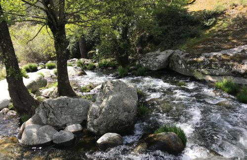 EL LLANO - El Hornillo, tu pueblo en la Sierra de Gredos. - Photo 56