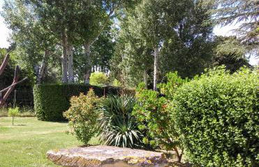 Masribou2 - Photo 10