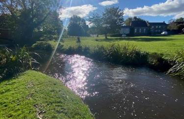 Clearwater 17th Century Cottage - Photo 17