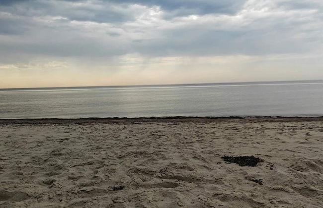 6 Person Holiday Home in Korsor - Photo 35