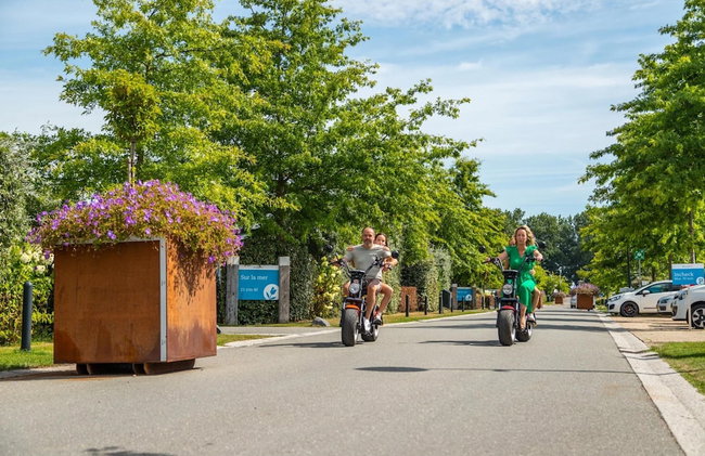 Nice Chalet With Dishwasher, Near the Veluwemeer - Foto 17
