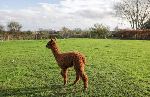 Wiltshire Weavers Hut - Foto 22