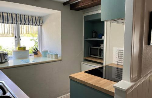 Little Ivy - Photo 9