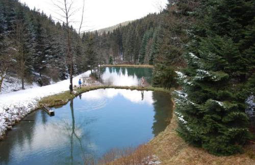 Terrace Retreat in Winterberg - Foto 36