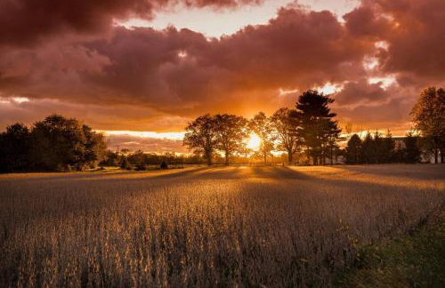 Wine Country Oasis Charming Farmhouse 10 Acres - Foto 24