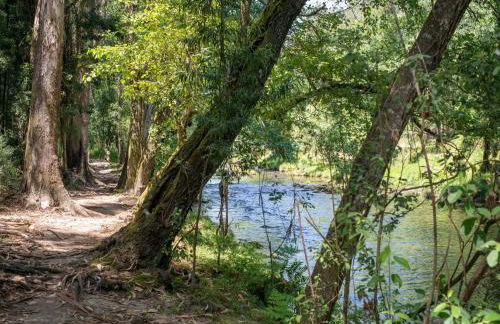 Holiday Home in Arcozelo with Private Pool - Photo 29