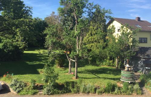 Ferienweingut Willems - Foto 6