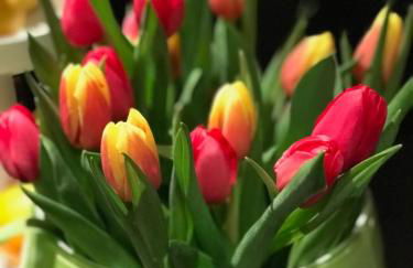 Architekten-Villa, moderne 220qm, 4 Schlafzimmer, Garten - Foto 33