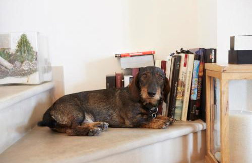 Maison del Bassotto - Photo 9