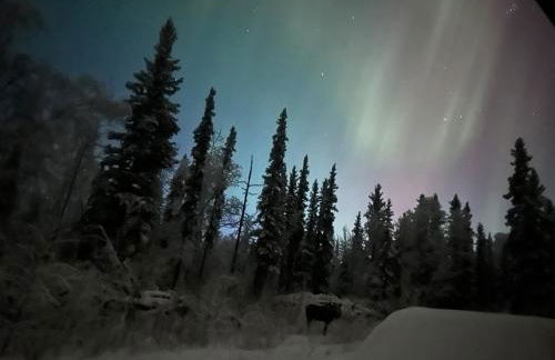 Northern Lights Getaway! - Foto 25