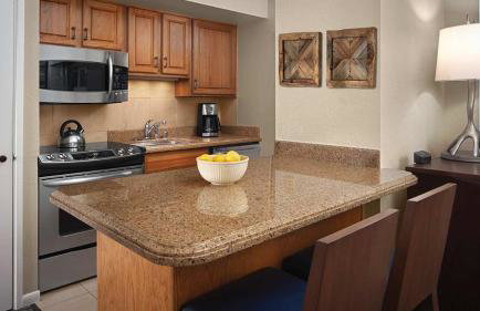 Marriott's StreamSide - Birch Studio Apartment with Resort Access - Foto 12