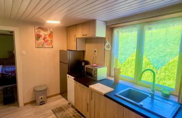 Appartement dans maison familiale - Foto 13