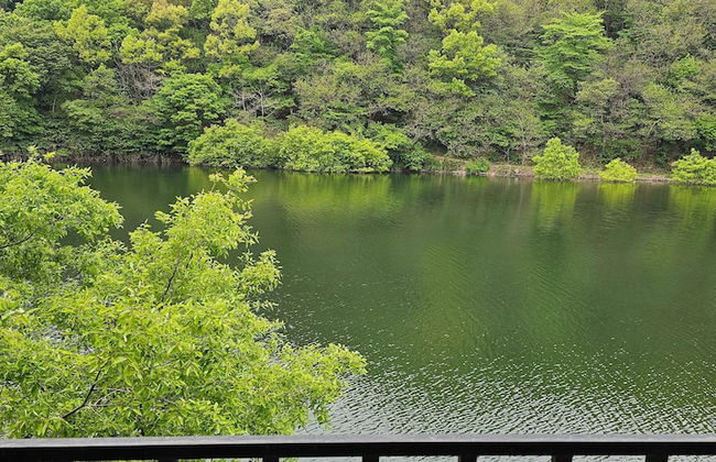 Mirinae Lakeside Marine Villa - Foto 19