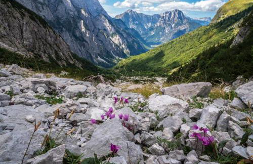 Baita dei Colori - Foto 14