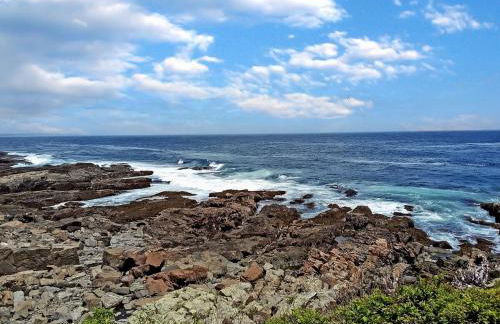 Seacoast Sanctuary Warm and inviting cottage with uninterrupted oceanfront 1914 - Foto 40