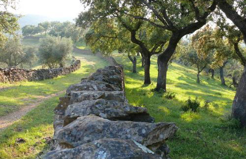 Casa centenaria con encanto - Foto 59