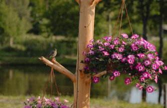 Ranczo KUFLANDIA Średnia Huta - Photo 25