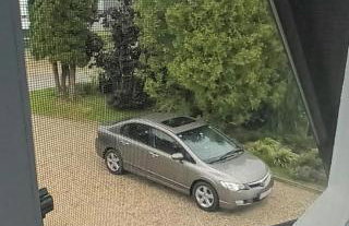 In the Green - Foto 47