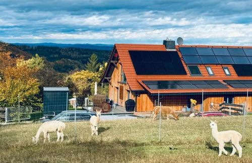 TOP moderne FeWo - Alpakahof zum Himmelreich, traumhafte Lage, Terrasse mit Weitblick, kostenfreier Parkplatz, Nähe Kurklinik, optional Sauna - Foto 35