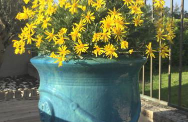 1 chambre 1 cuisine & salle d'eau privées avec piscine et jacuzzi - Foto 27