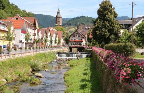 Ferienwohnungen Beilerstädtle - Foto 2