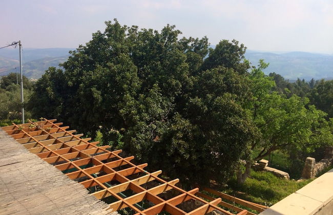 Dibeen Eco Farm House - Foto 24