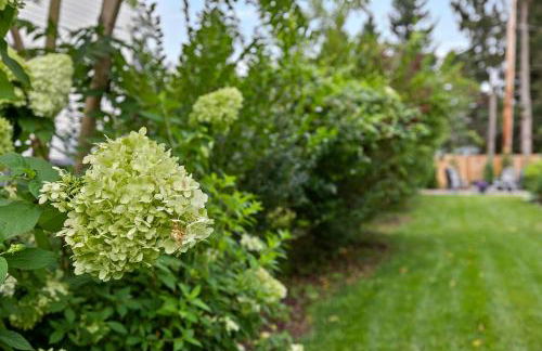 Greystone Cottage by Juniper Holiday + Home - Foto 43