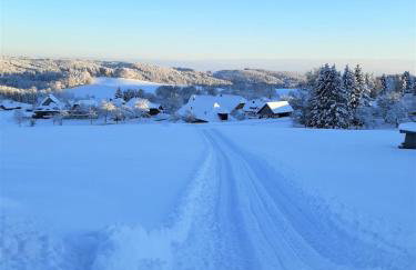 Ferienwohnung Boch Schluchsee - Foto 37
