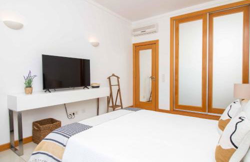 Barracuda A14 - Foto 30