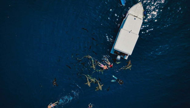 Embarcación durante el recorrido