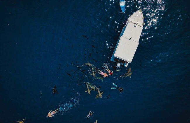 Alquiler de barco con patrón en Maafushi - Foto 3