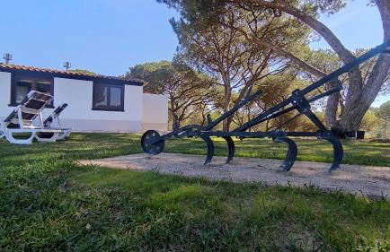 Alojamento Monte da Laje - Foto 6