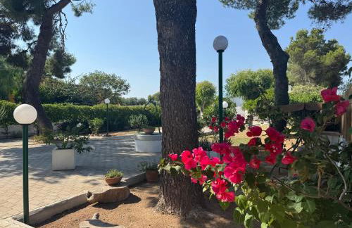 Villa Lucia - Foto 22