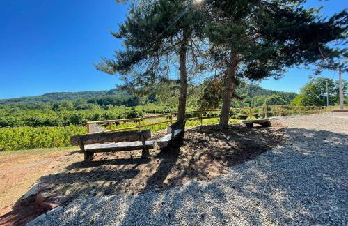 Prades Vila Bella - Casa Molinets i Casa Borrianes - Foto 16