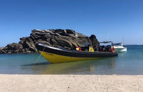 Gîte L'albatros - 400m de la mer - Foto 9