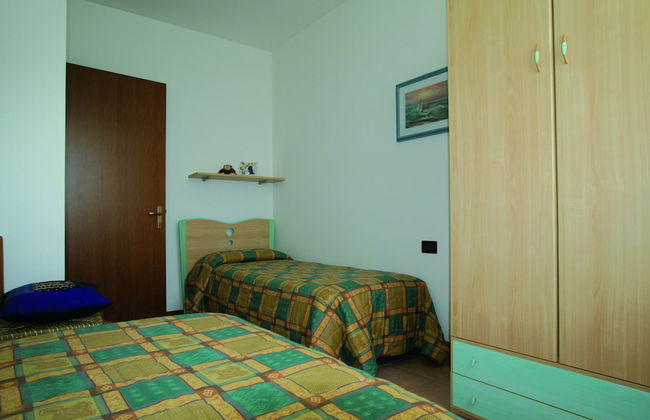 Calycanthus - Foto 17