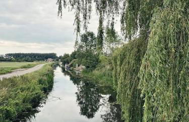 Living Like a Local at Dotties - Foto 27