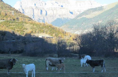 La Casita de Ordesa - Photo 35