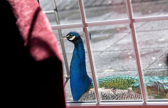 Langley Castle Hotel - Photo 43