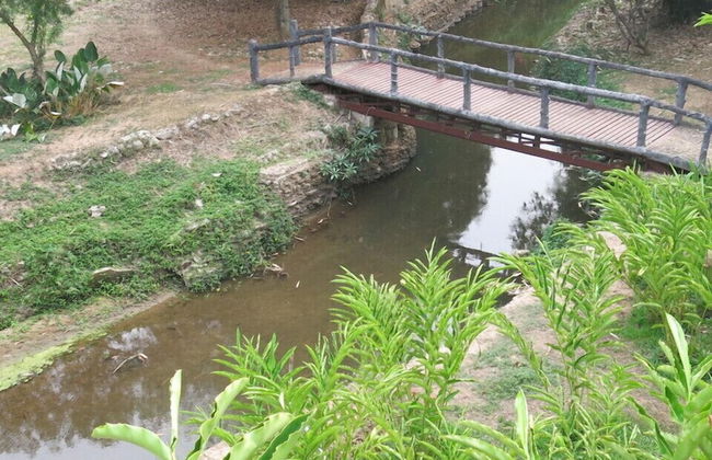 Suan Kaew Park - Photo 34