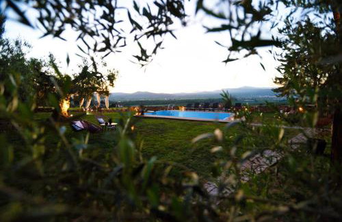 Los vagones - Photo 18