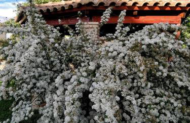 Amalias Place - Foto 67