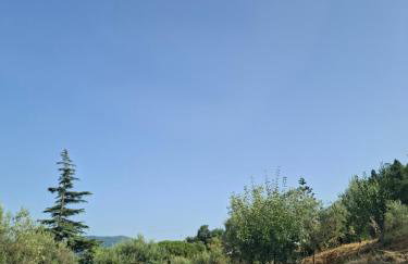 Beautiful views of the Aeolian Islands and the Cape of Milazzo - Foto 4