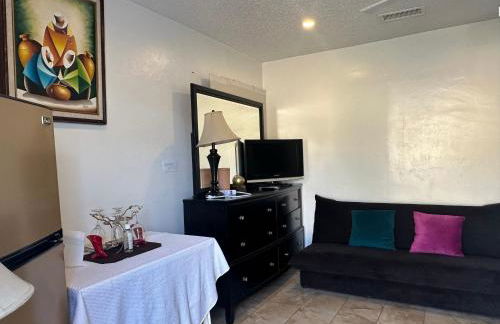 My Garden in Miami Florida - Photo 35