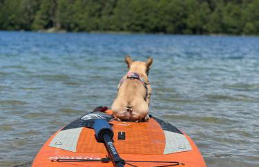 Osada Wejsuny - Foto 58