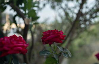 Trinity Suites "by Checkin" - Foto 28