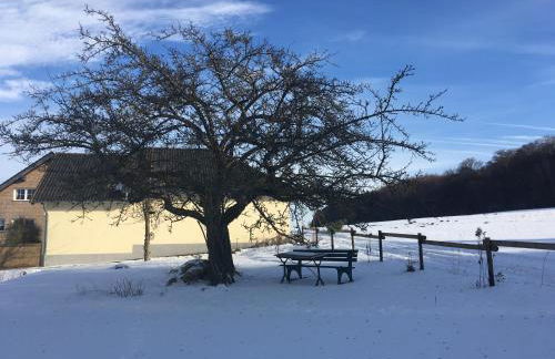 Ferienhaus Vulkaneifel Landhaus Loogh - Foto 34