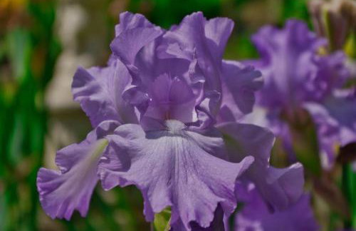 Casa "Dolina Kraljevac" - Foto 64