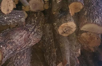 ELENI'S VILLAGE RELAXATION HOME - Photo 33